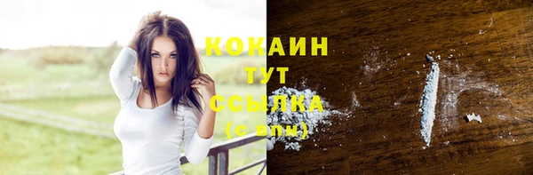 ПСИЛОЦИБИНОВЫЕ ГРИБЫ Костерёво