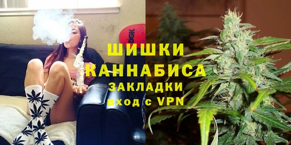 ПСИЛОЦИБИНОВЫЕ ГРИБЫ Костерёво