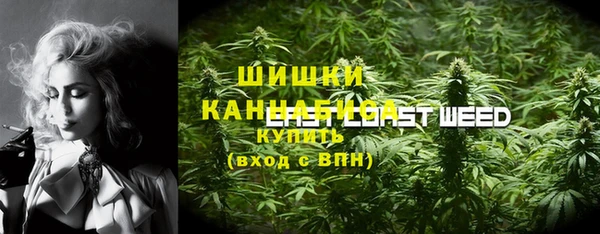 ПСИЛОЦИБИНОВЫЕ ГРИБЫ Костерёво