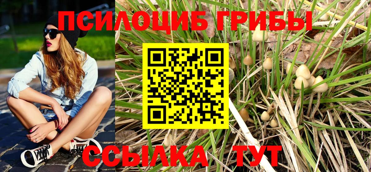 Галлюциногенные грибы прущие грибы  Вход с VPN  даркнет сайт  Малоярославец  Псилоцибиновые грибы Psilocybe 