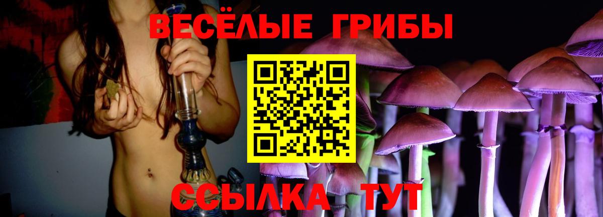 Галлюциногенные грибы Magic Shrooms Малоярославец