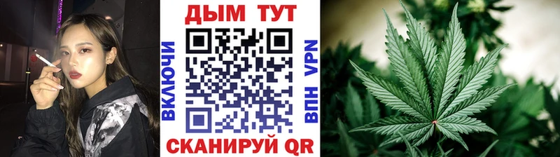 закладка  Малоярославец  Шишки марихуана тримм 